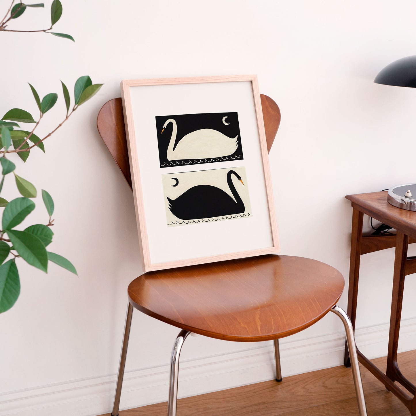 Black And White Swans Art Print image 5