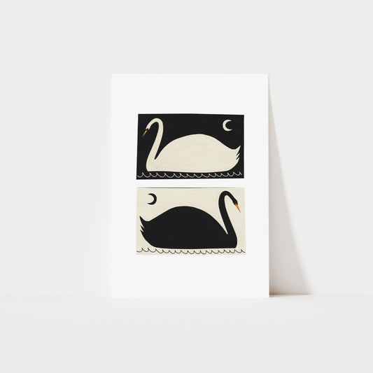 Black And White Swans Art Print image 0