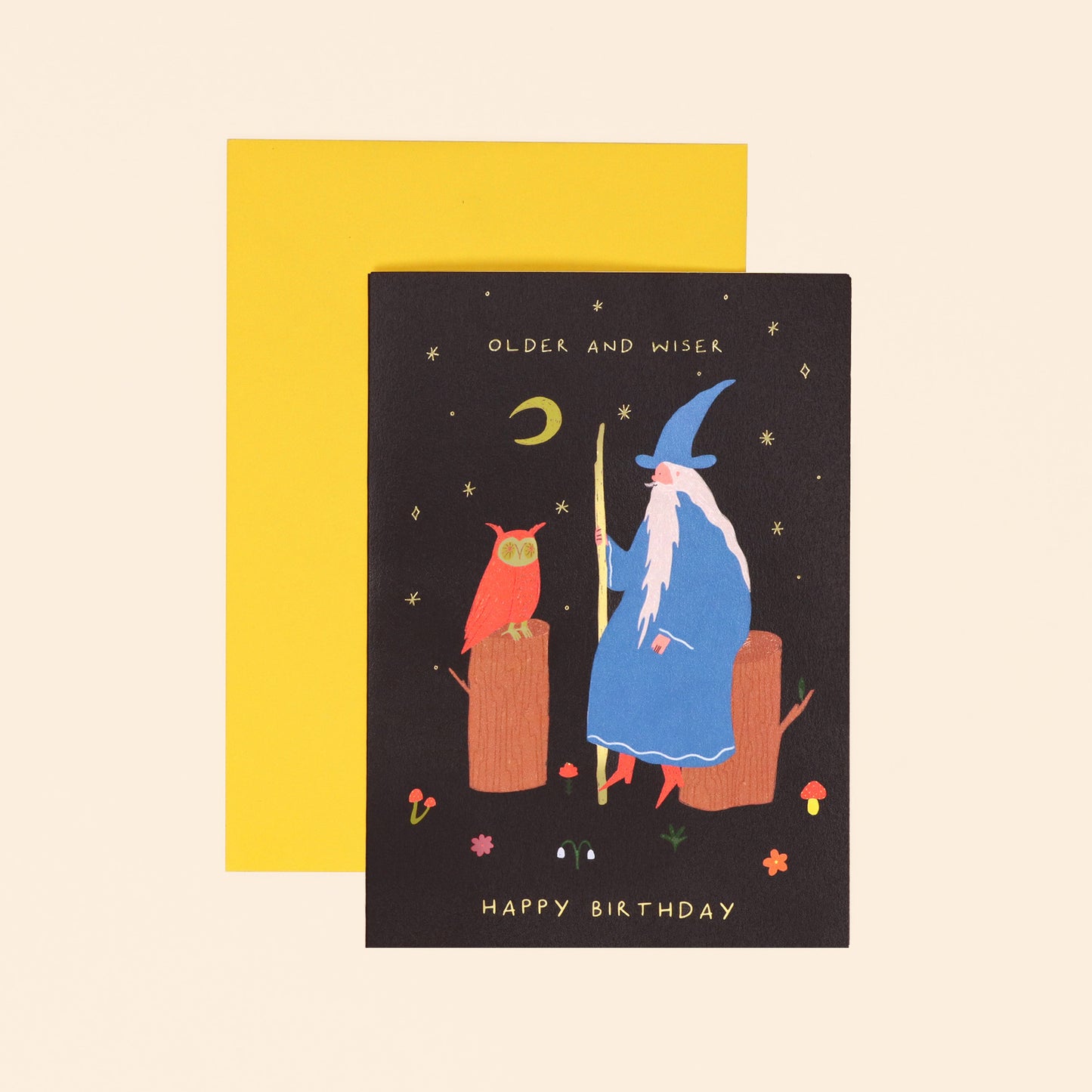 Older and Wiser Birthday Card image 1