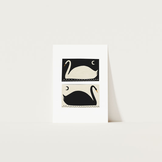 Black + White Swans Art Print A3