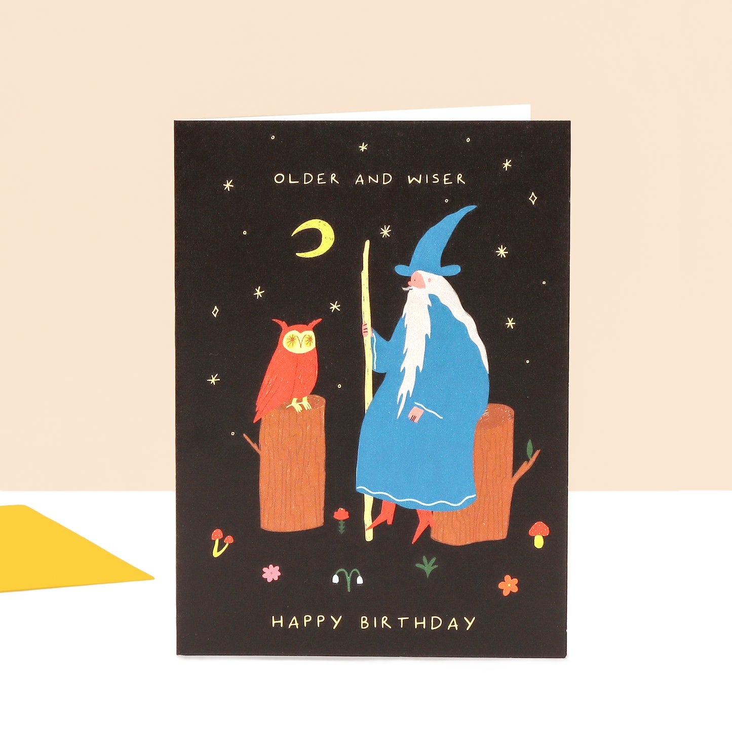 Older and Wiser Birthday Card image 0