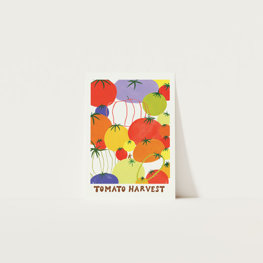 Tomato Harvest Art Print A3